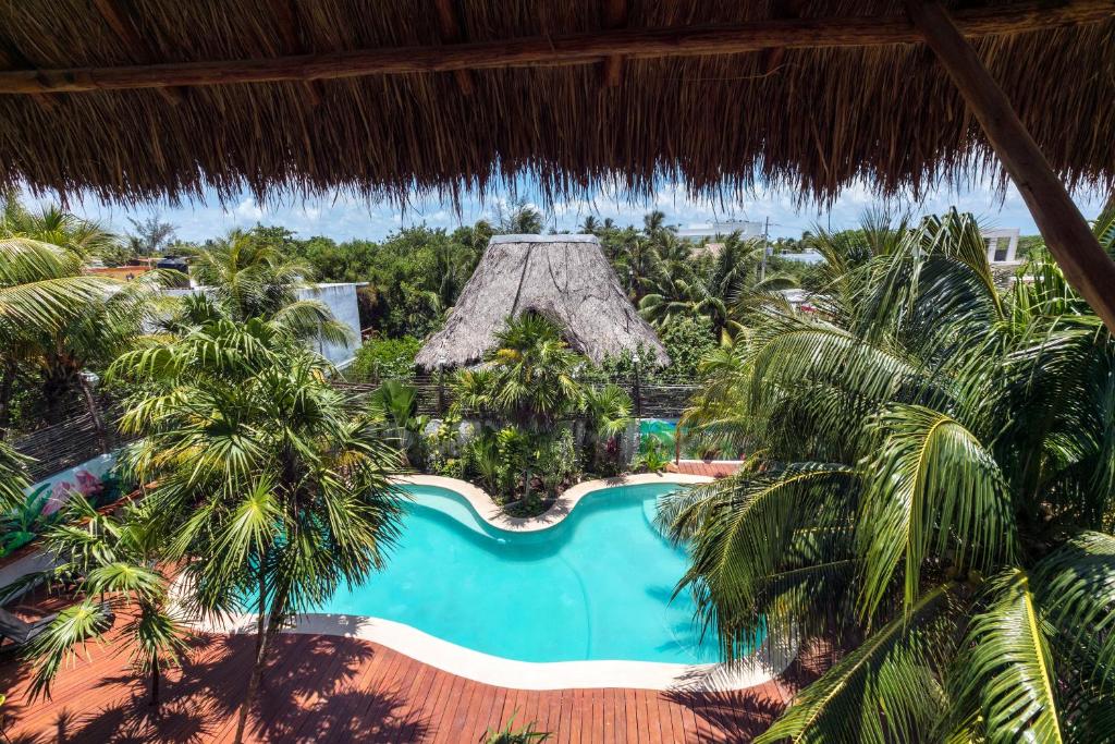 Bazén v ubytování La Palma Holbox nebo v jeho okolí