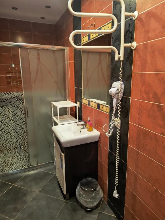 Kúpeľňa v ubytovaní Boszkowianka