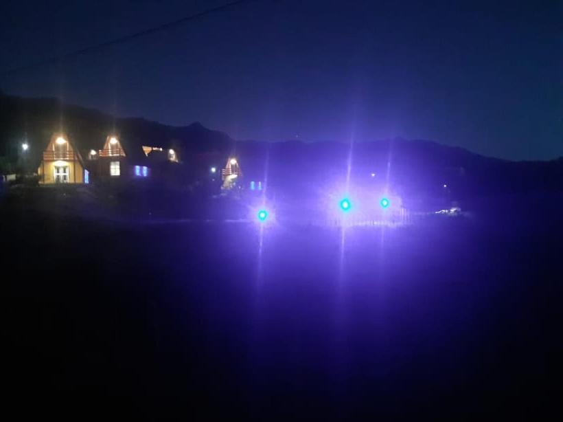 Naturlandskabet i nærheden af lejligheden