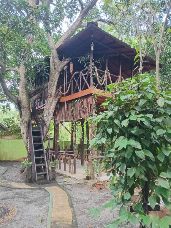 Mango Tree Hut udawalawe