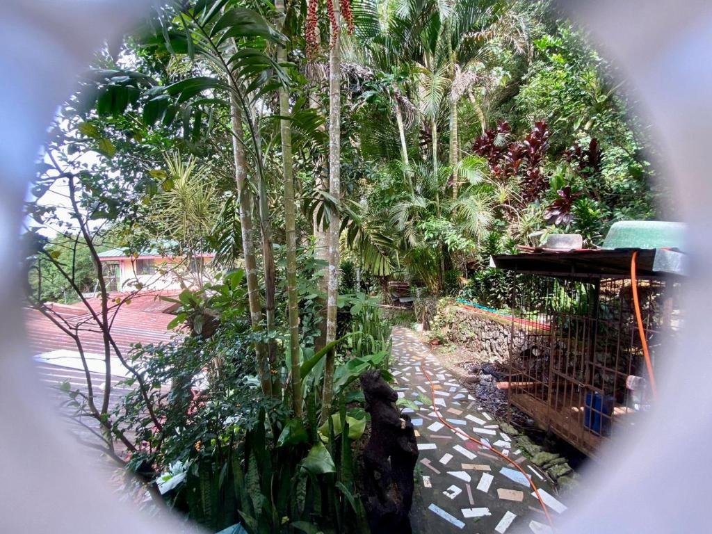 Zahrada ubytování Baguio mountain villa view RW