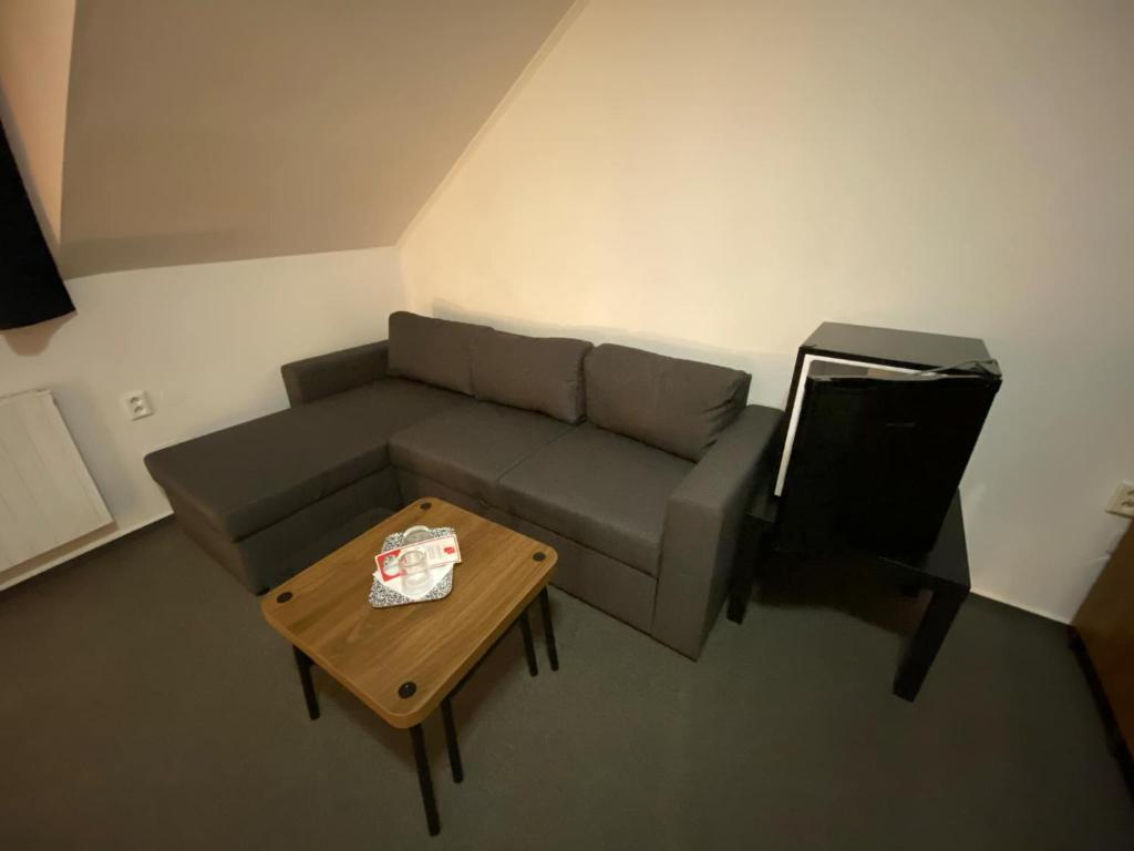 Posezení v ubytování Hotel & SPA centrum PALMIRA