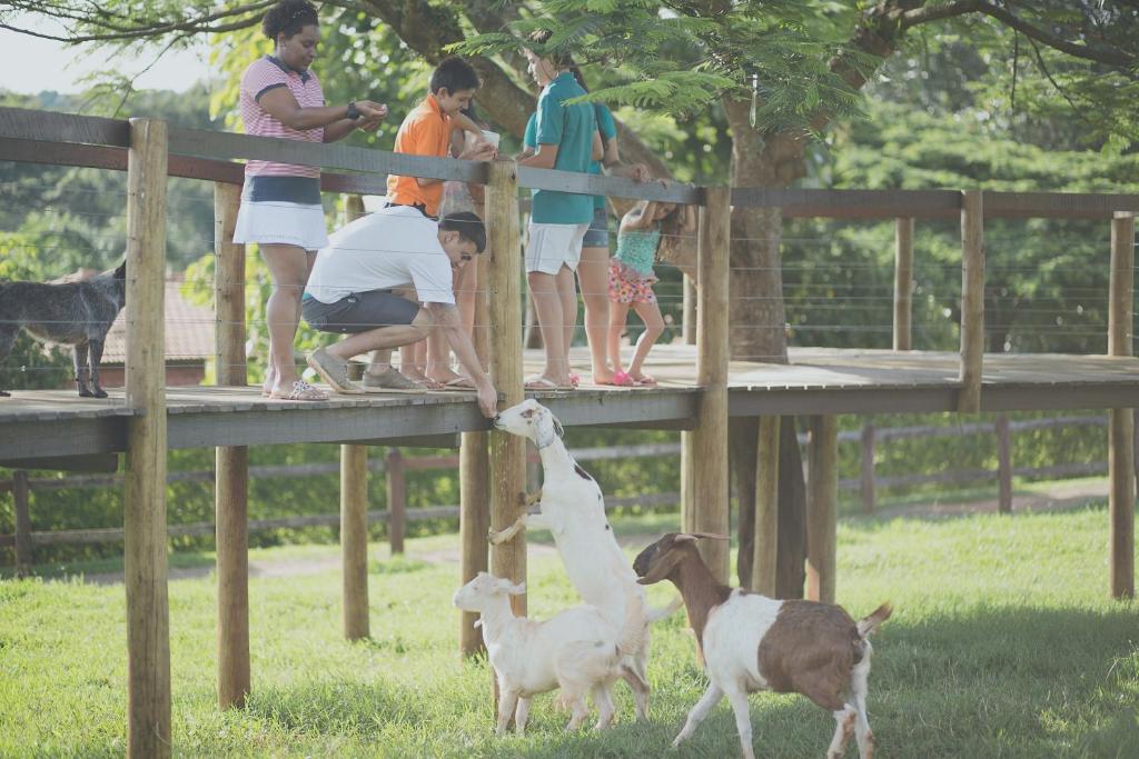  Hotel Fazenda Areia que Canta