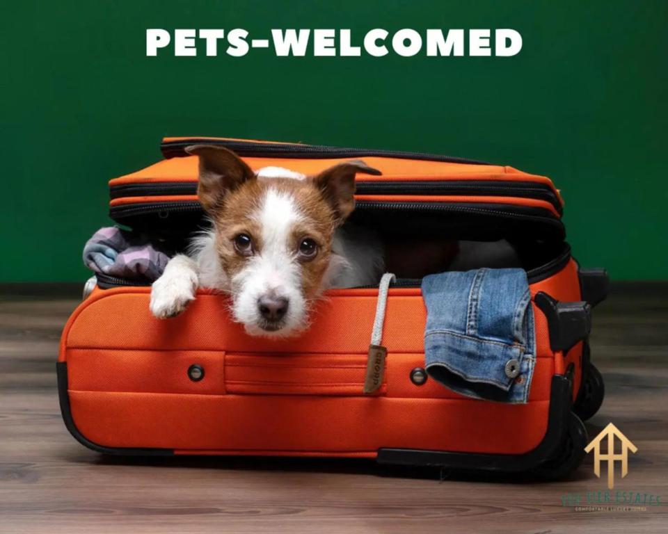 un cane che giace sopra una valigia arancione di 4 Queen Beds High Speed Wifi Private Parking a Fort Worth