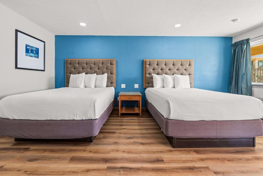 twee bedden in een kamer met blauwe muren en houten vloeren bij Econo Lodge Inn & Suites Sealy in Sealy