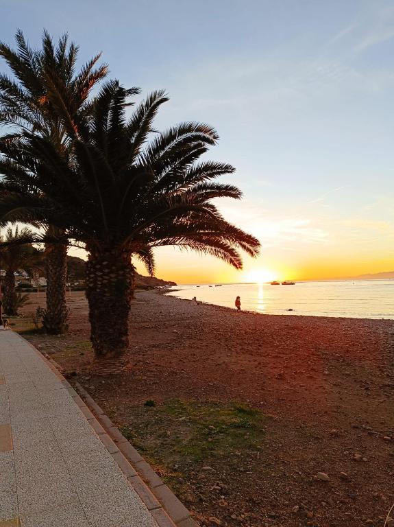 a palm tree on a beach with the sunset at Mesana playa in Cartagena