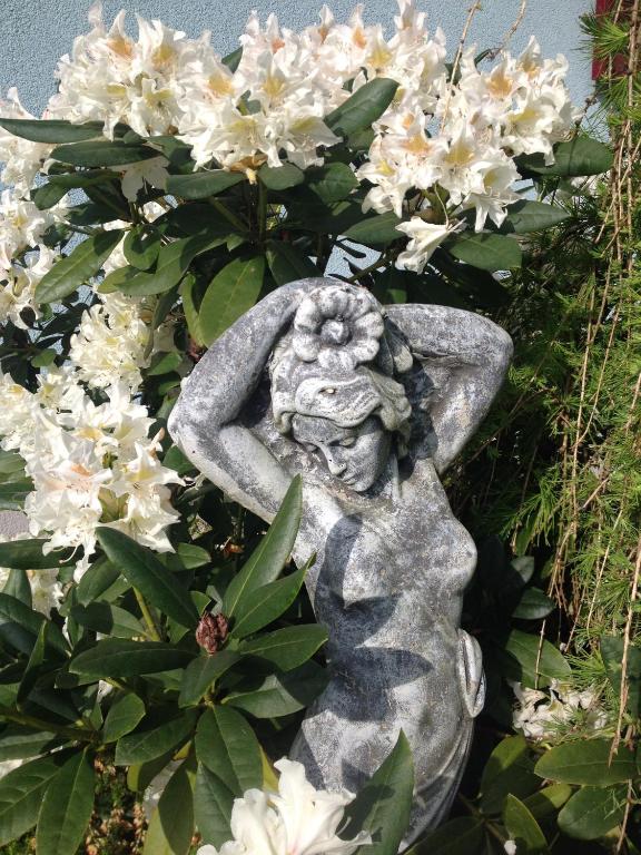 A garden outside Casa Anna