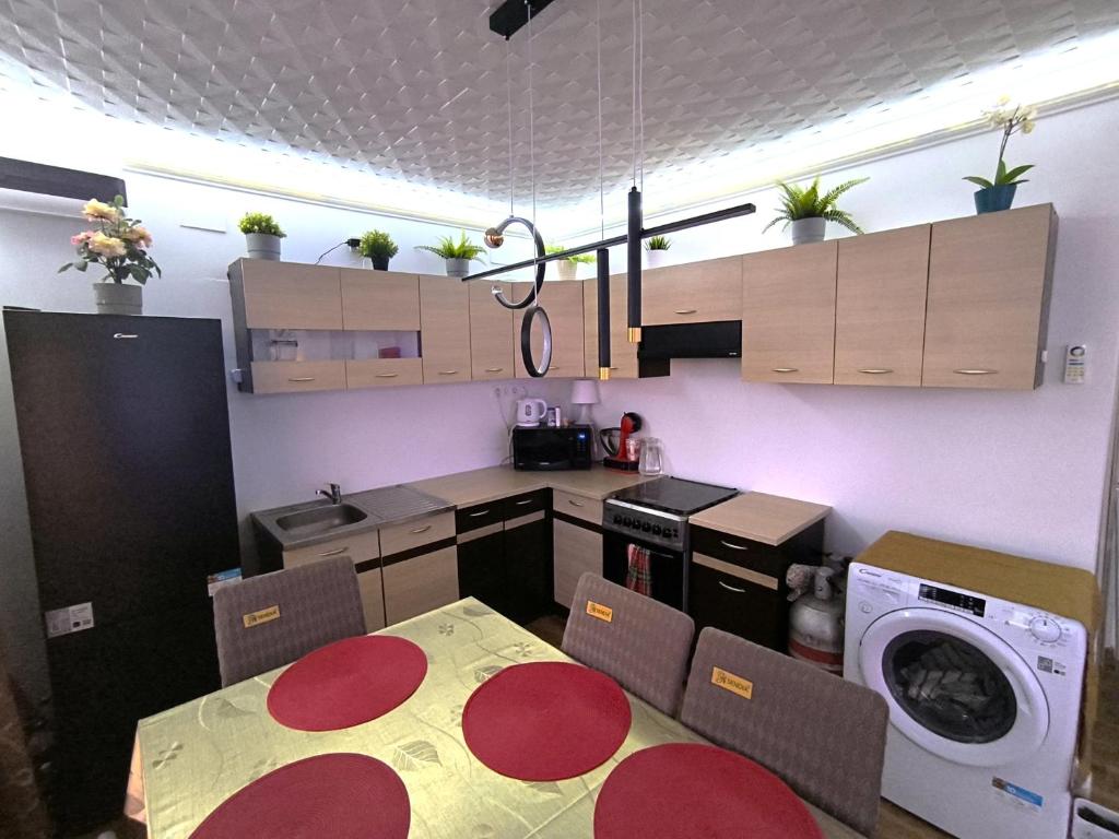 a kitchen with a table and a washing machine at RSD Horgász Szállás in Ráckeve