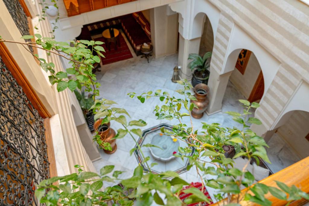 Zahrada ubytování Palais Tara & Spa