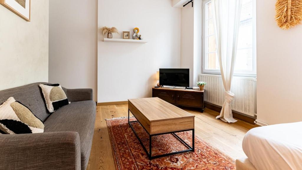 un salon avec un canapé et une table basse dans l'établissement Le nid - Hypercentre Dijon, à Dijon