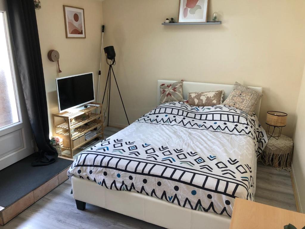 a bedroom with a bed and a flat screen tv at Charmant studio proche centre ville d’Orléans in Orléans
