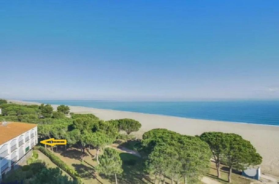 une vue aérienne d'une plage et de l'océan dans l'établissement T2 - Les pieds dans l'eau, à Argelès-sur-Mer