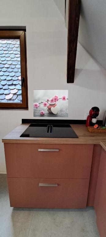 Le Coin Zen - Parking, Borne VE et Fibre – photo 44