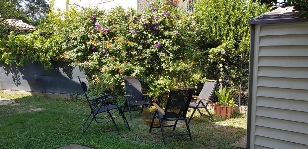 Vonkajšia záhrada v ubytovaní Superbe T2 avec jardin, piscine-enfant et parking