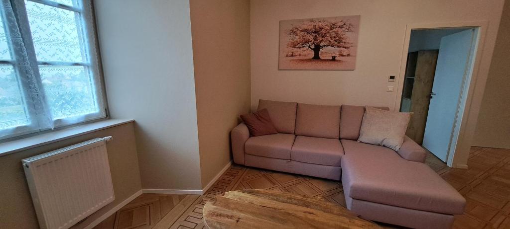L'Arbre Rose - Parking, Borne VE et Fibre – photo 32