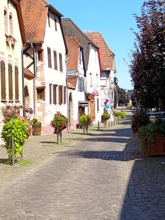 L'Arbre Rose - Parking, Borne VE et Fibre – photo 39