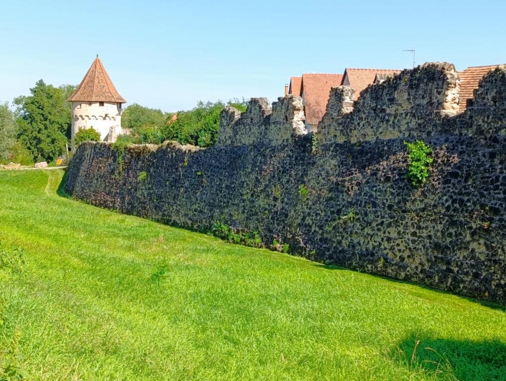 Le Nid Douillet - Parking, Borne VE et Fibre – photo 14