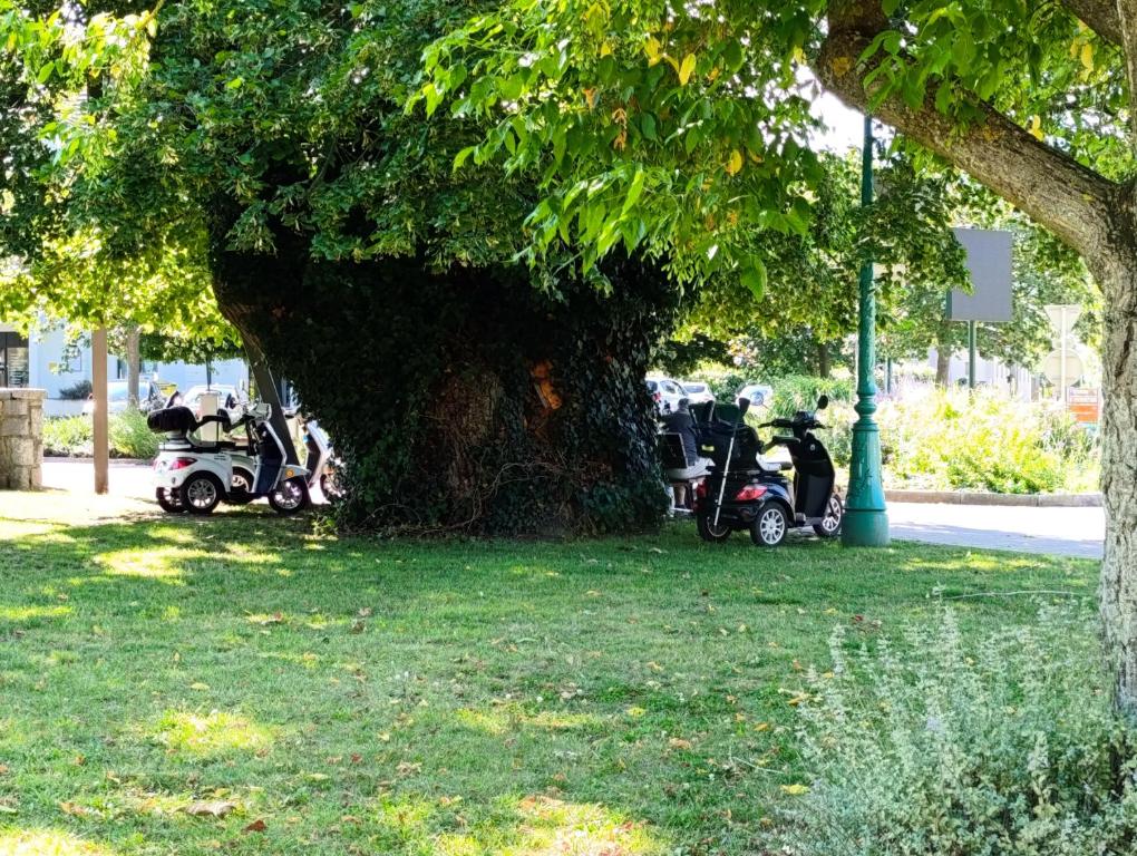 Le Nid Douillet - Parking, Borne VE et Fibre – photo 26