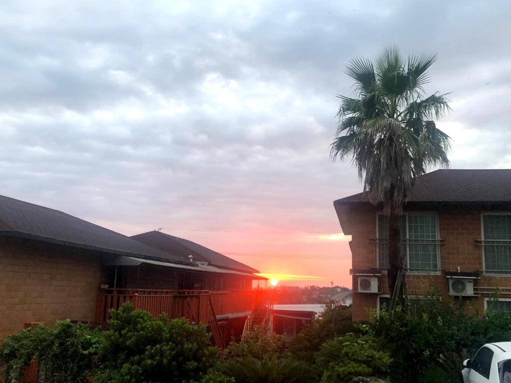 a palm tree in front of a building with a sunset at Starlight Oreum Pension in Jeju