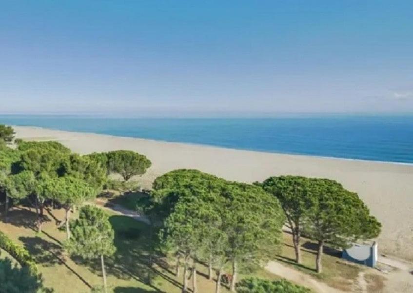 - une vue aérienne sur une plage arborée et l'océan dans l'établissement T2 - devant la mer, à Argelès-sur-Mer