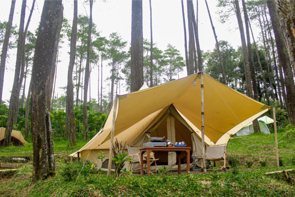 Příroda nedaleko luxury tent