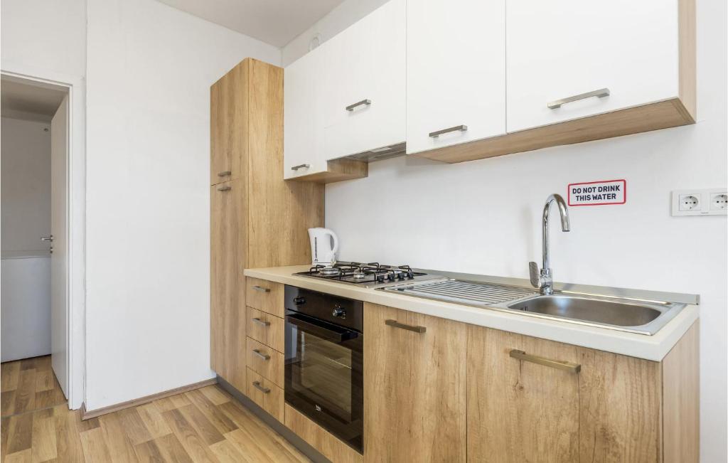 Kuchyň nebo kuchyňský kout v ubytování 1 Bedroom Lovely Apartment In Rakovica
