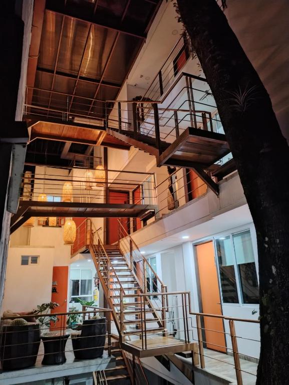 比亚维森西奥TREEHOUSE1959 HOTEL的相册照片