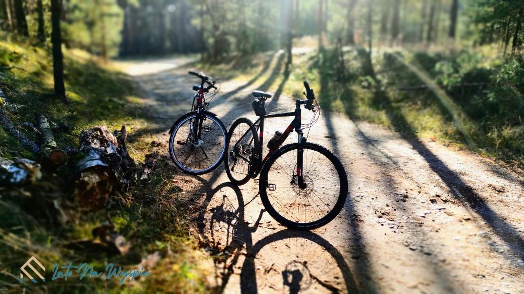 Jazda na bicykli v okolí ubytovania LATO NA WYSPIE