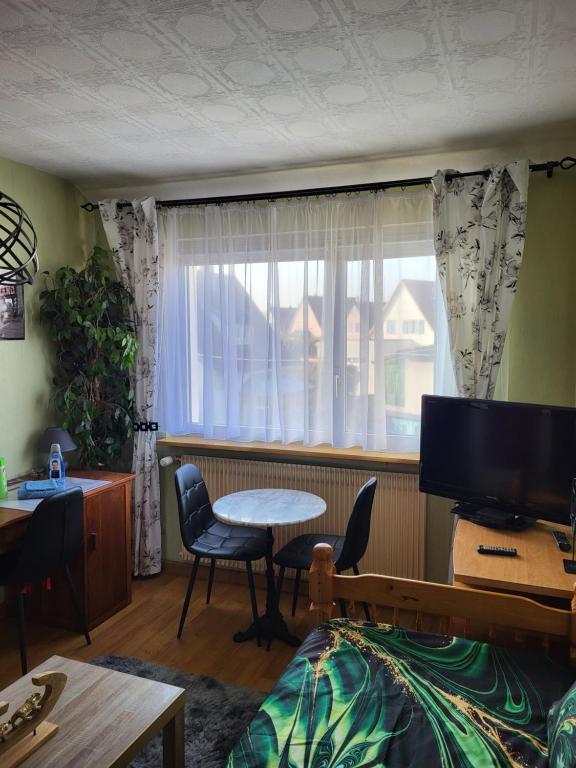 Studio Colmar avec jardin privatif – photo 9