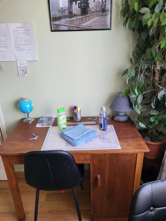 Studio Colmar avec jardin privatif – photo 8