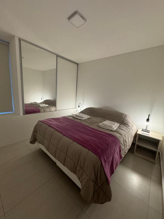 een slaapkamer met een groot bed en een spiegel bij Departamentos y monoambientes Santiago 115 in Neuquén