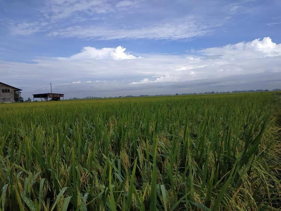 Naturlandskabet i nærheden af den private indkvartering