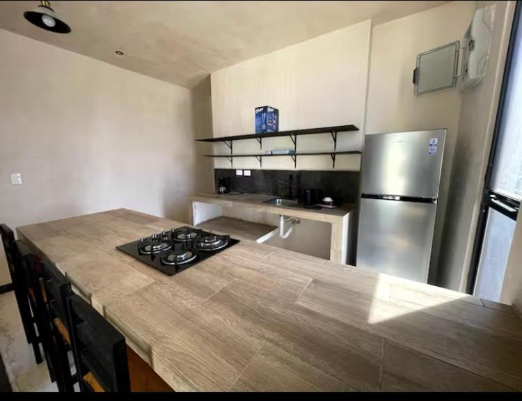 Kuchyň nebo kuchyňský kout v ubytování Villa Colibríes
