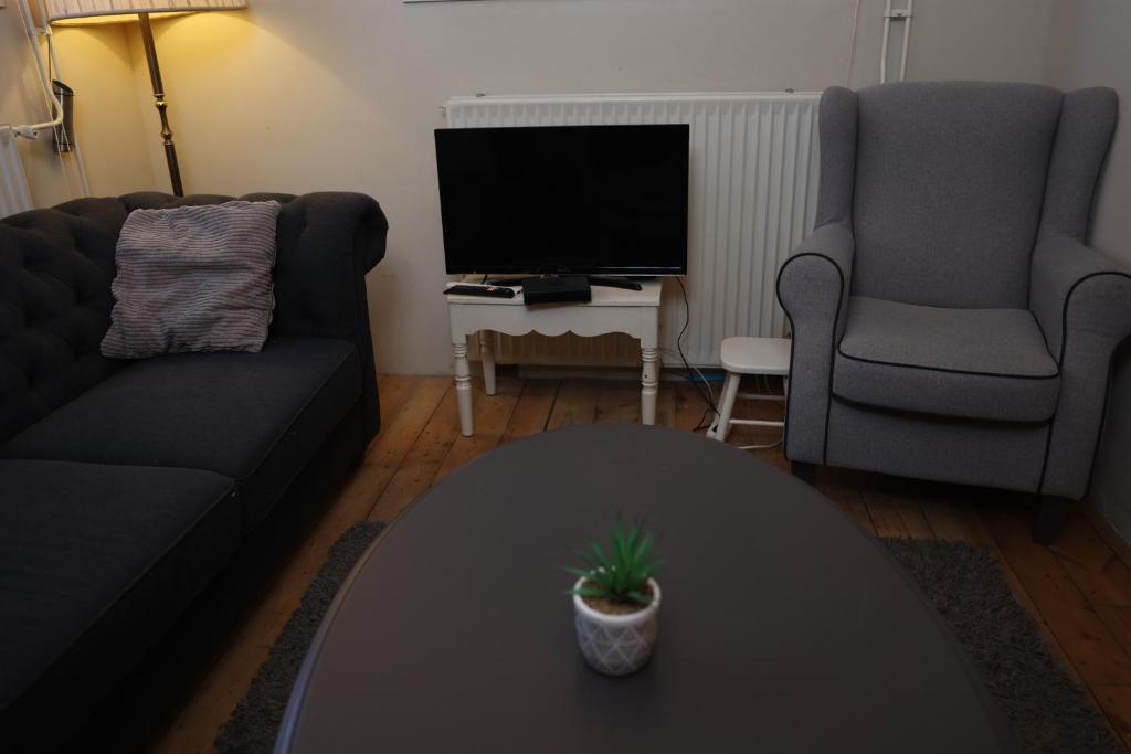 TV a/nebo společenská místnost v ubytování Bed & Kip De plek voor mens en hond