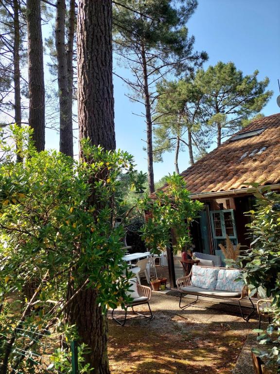 une maison avec un banc et un arbre dans l'établissement Maison carcans maubuisson lac et océan, à Carcans