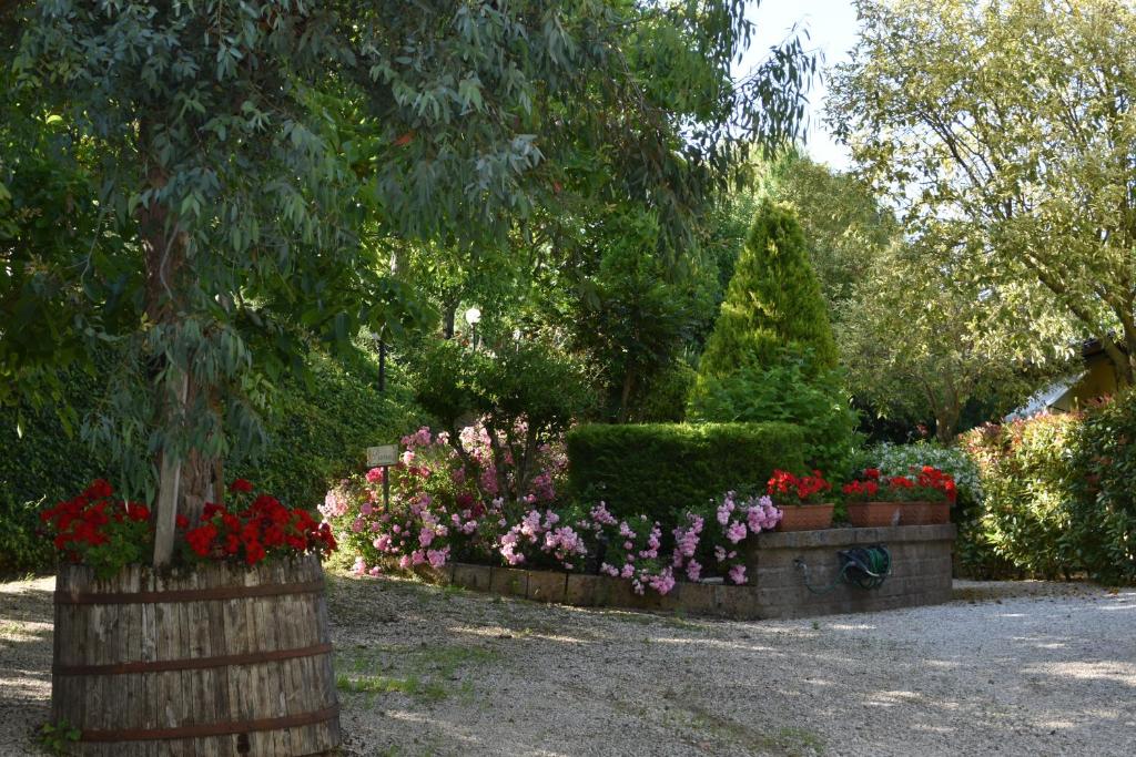 Zahrada ubytování Agriturismo Le Ginestre