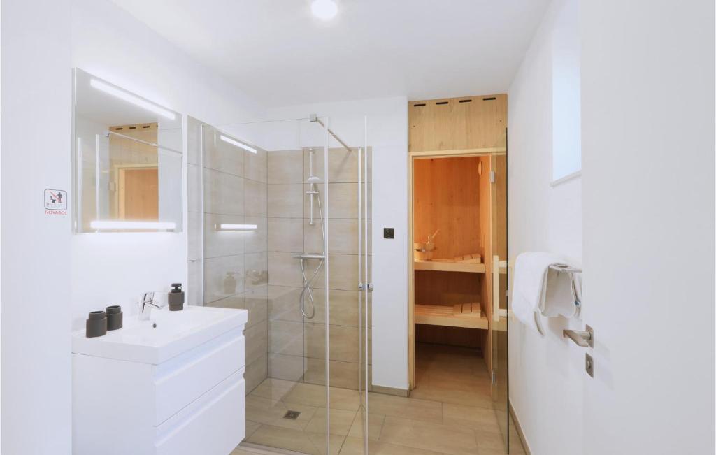 a white bathroom with a shower and a sink at Lovely Home In Lembruchdümmer See in Lembruch