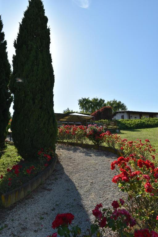 Zahrada ubytování Agriturismo Le Ginestre