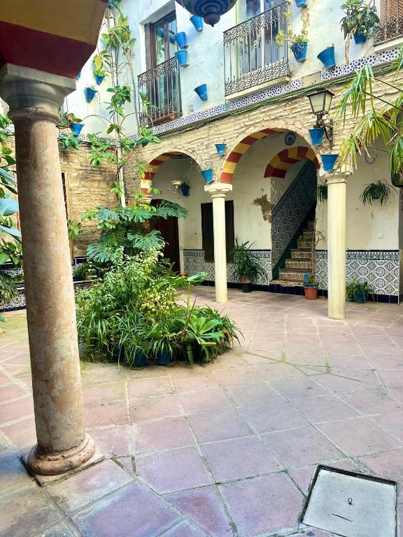Vonkajšia záhrada v ubytovaní Apartamento tradición de la Corredera