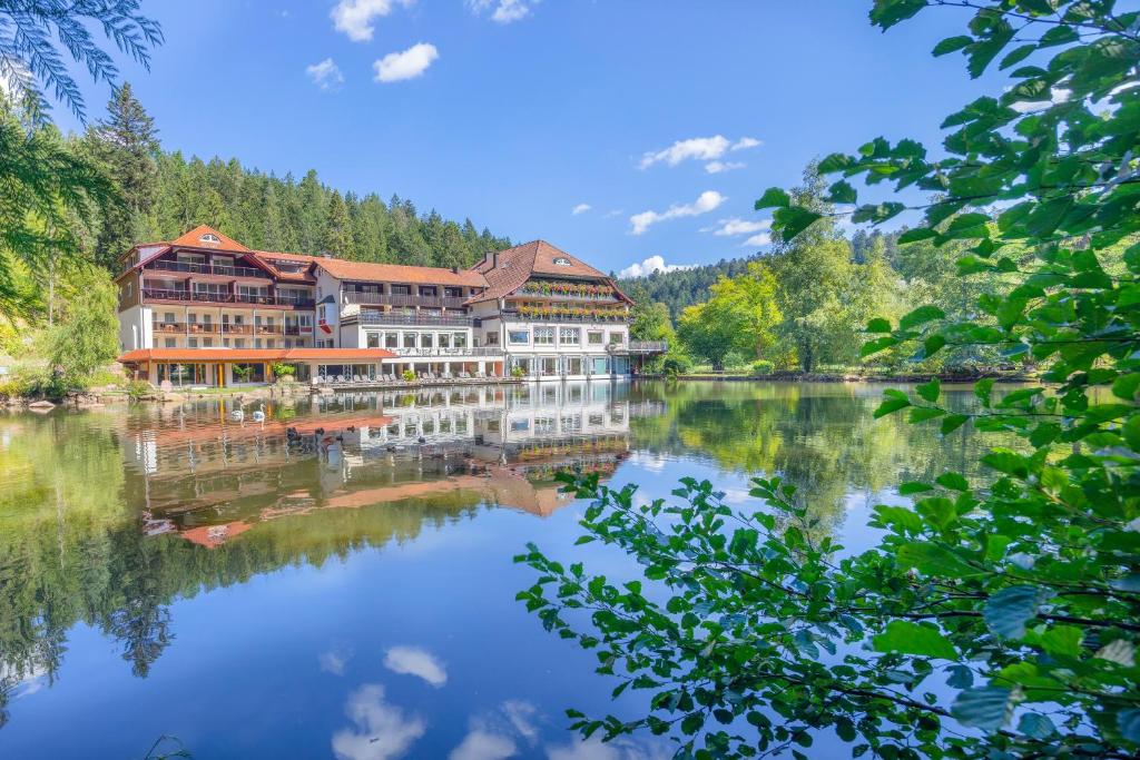 Příroda nedaleko hotelu