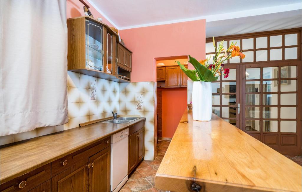 Kuchyň nebo kuchyňský kout v ubytování Apartment Gruda Molunat Ii