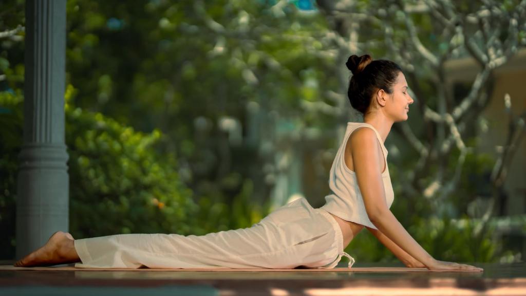 Hosté ubytování Siddhalepa Ayurveda Resort - All Meals, Ayurveda Treatment and Yoga