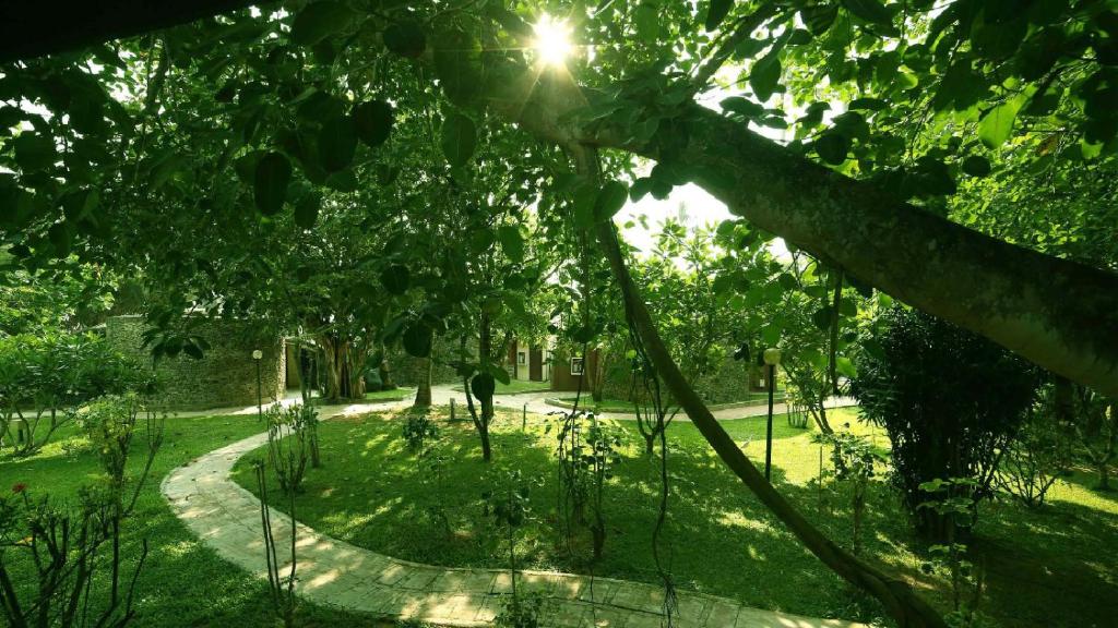 Zahrada ubytování Siddhalepa Ayurveda Resort - All Meals, Ayurveda Treatment and Yoga