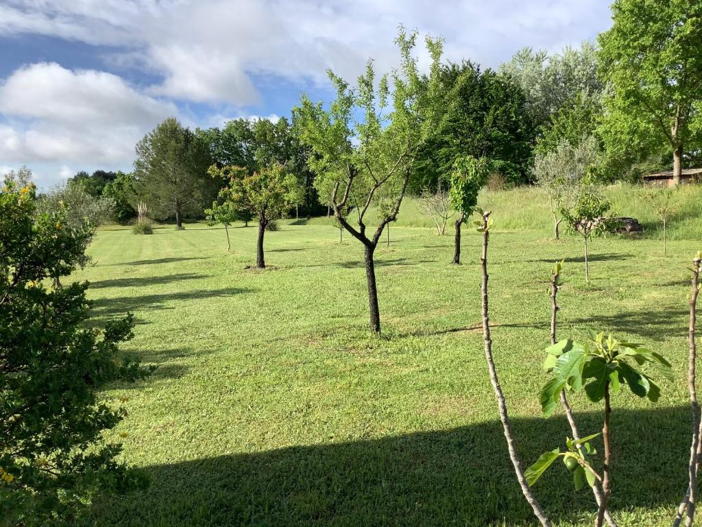 Zahrada ubytování Provence Luberon