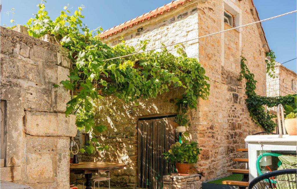an old building with a gate and vines at Gorgeous Home In Donje Selo in Donje Selo na Šolti