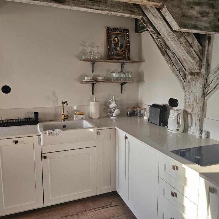 Kuchyň nebo kuchyňský kout v ubytování Krzywa Apartamenty