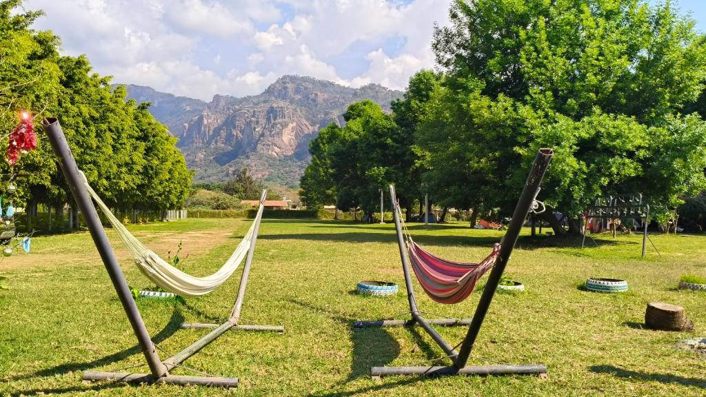 tre amache in un campo con montagne sullo sfondo di Ekko Hostel a Tepoztlán