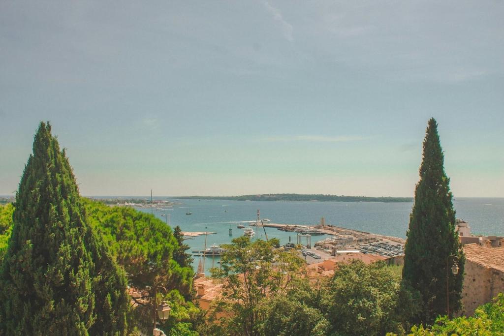 Photo de la galerie de l'établissement Cosy Studio avec piscine résidentielle & Proche centre ville, à Cannes