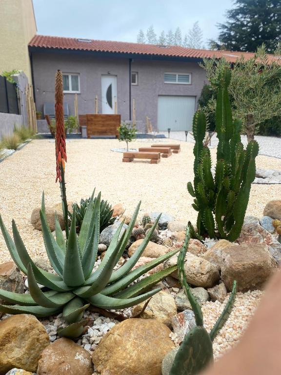 un superbe jardin avec des cactus en face d'une maison dans l'établissement Can FRANCES - Parking-Garage-2 jardins-Terrasse-BRASERO-MER-Wifi, à Villelongue-de-la-Salanque