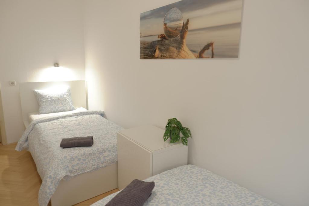 Fotografie z fotogalerie ubytování ROOMS Udolni Červený kostel v destinaci Brno
